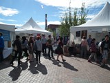 Wingheart at The Word On The Street Toronto 2015, Launch of Wingheart: Spirit's Gate